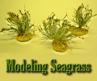 Modeling Sea Grass. Click for bigger photo